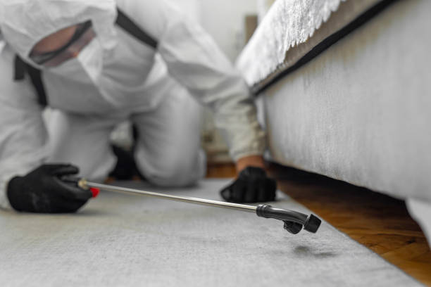 Professional Termite Control technician working in Swanton, OH