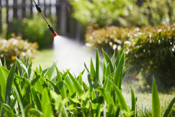 24/7 Emergency Termite Control experts in Swanton, OH