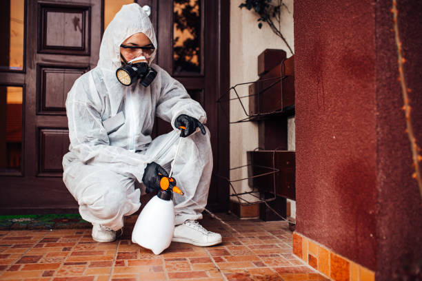 Reliable Termite Control contractor in Swanton, OH by Nex Pest Control